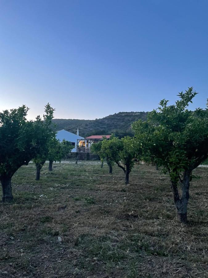 Quinta Da Boa Sorte エストーイ エクステリア 写真