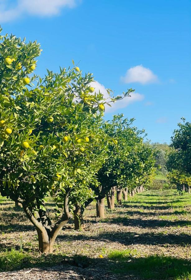 Quinta Da Boa Sorte エストーイ エクステリア 写真